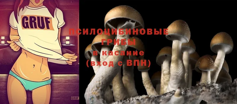 Галлюциногенные грибы Magic Shrooms  Сафоново 